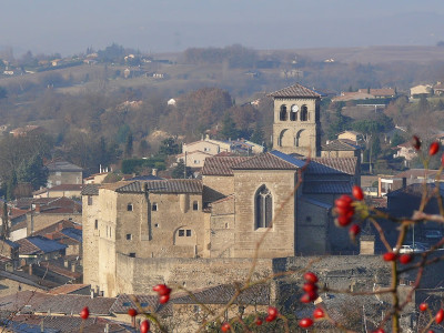 Office de tourisme Saint-Donnat sur l'Herbasse